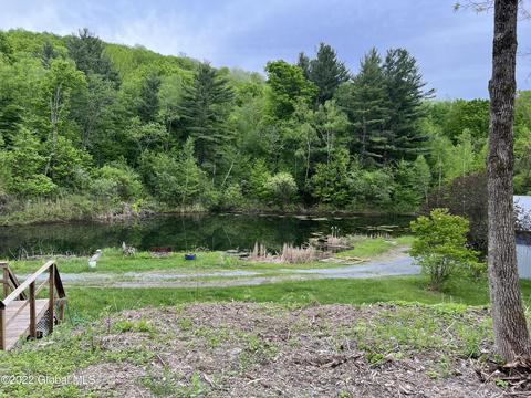 610 Coot Hill Rd, Argyle, NY 12809 photo 8