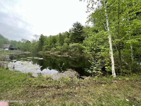 610 Coot Hill Rd, Argyle, NY 12809 photo 10