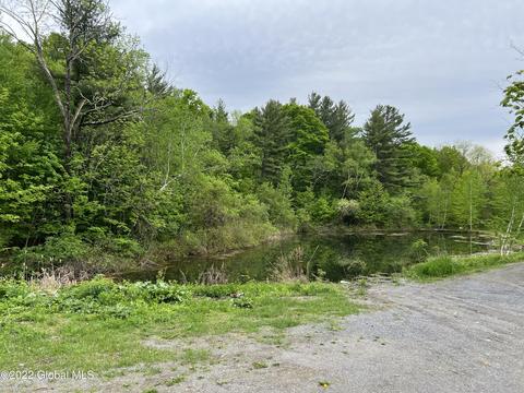 610 Coot Hill Rd, Argyle, NY 12809 photo 6