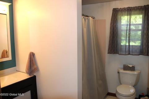 56 Filkins Hill Rd, East Berne, NY 12059 photo 16