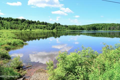 154 Peeters Rd, Schenevus, NY 13488 photo 1