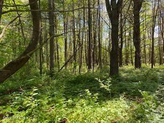 L92 Waters Road, Schenectady, NY 12302
