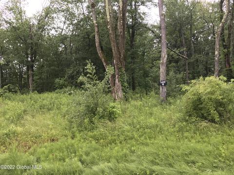 12 Lochvue Dr, Wynantskill, NY 12140