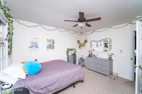 17 Iroquois Trl, Slingerlands, NY 12159 photo 59