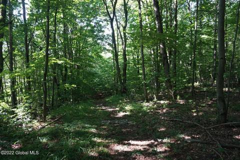 760 Smith Rd, Worcester, NY 12197 photo 8