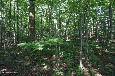 760 Smith Rd, Worcester, NY 12197 photo 7