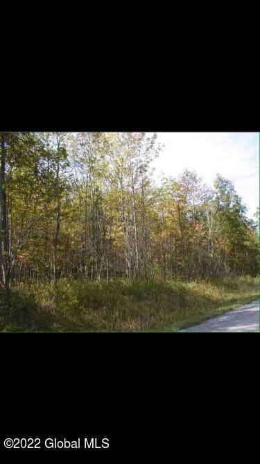 2365 Burtonville Rd, Esperance, NY 12066