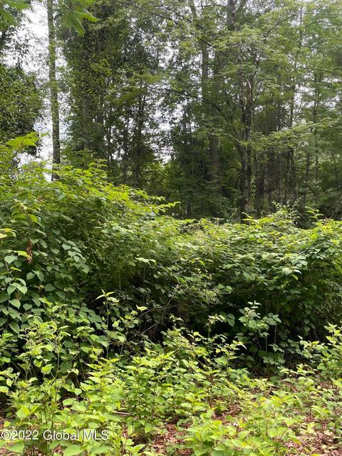 22 Pickle Hill Rd, Queensbury, NY 12804