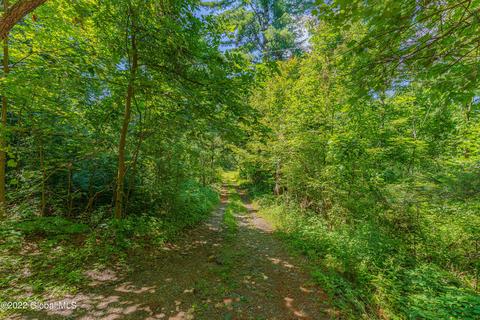 103 Coon Rd, Argyle, NY 12809 photo 3