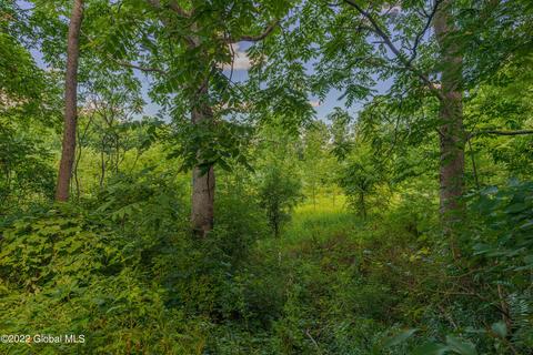 103 Coon Rd, Argyle, NY 12809 photo 15