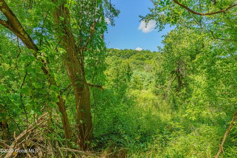 103 Coon Rd, Argyle, NY 12809 photo 5