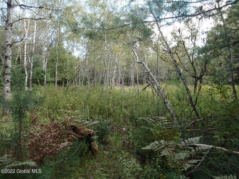 262 State Route 28n, North Creek, NY 12853
