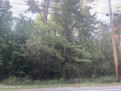 L31.200 County Route 29, Minerva, NY 12851