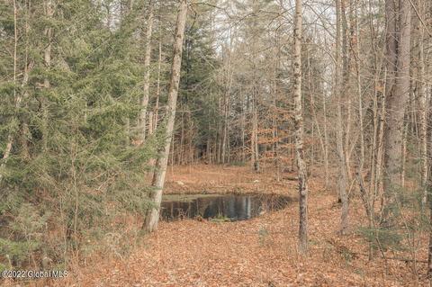 279 Smith Rd, Amsterdam, NY 12010 photo 38
