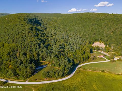 682 Mill Valley Rd, Middleburgh, NY 12122 photo 22