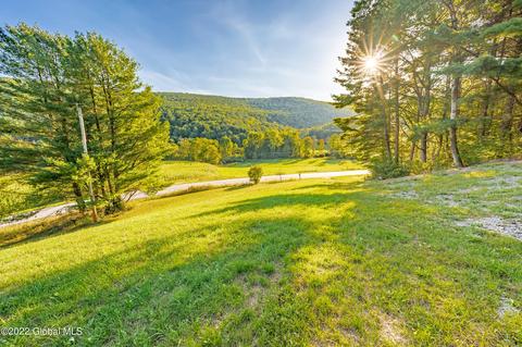 682 Mill Valley Rd, Middleburgh, NY 12122 photo 34