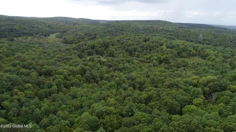 111 New Forge Road 1 # l42, Elizaville, NY 12504