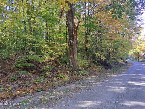 L46 Priest Road, Salem, NY 12865