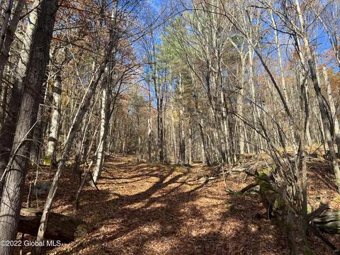 L26 Brownell Hollow Rd, White Creek, NY 12057