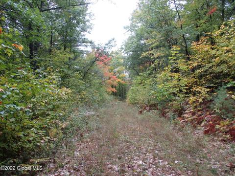 L1 Clintonville Road, Ausable Forks, NY 12912
