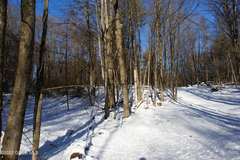  0 Deweys Bridge Rd, Fort Ann, NY 12887 photo 4