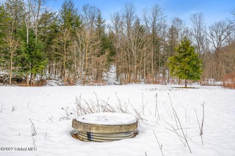 2189 Hoffman Ln, Schenectady, NY 12306 photo 67