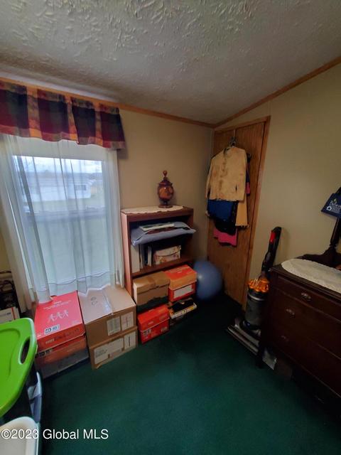 119 Trailer St, Palatine Bridge, NY 13428 photo 18