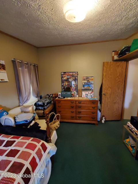 119 Trailer St, Palatine Bridge, NY 13428 photo 17
