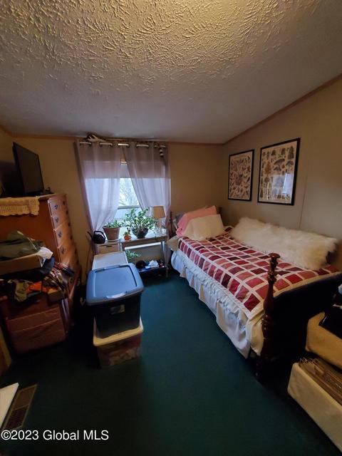 119 Trailer St, Palatine Bridge, NY 13428 photo 19