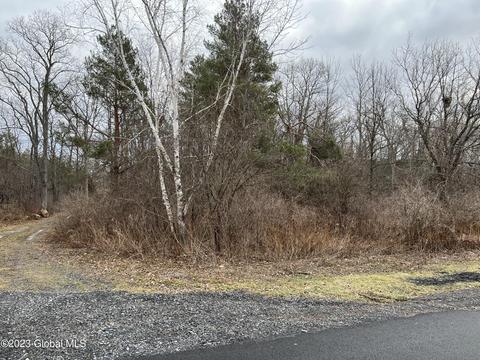 00 Spore Rd, Delmar, NY 12054
