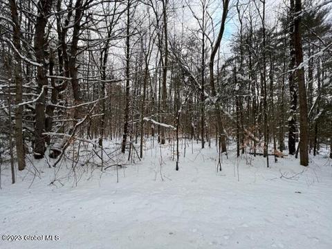 0 Wemple Road Rd, Johnstown, NY 12095