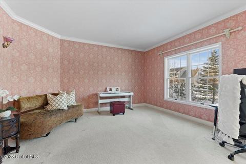11 Empire Cir, Slingerlands, NY 12159 photo 22