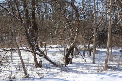lot11 Ashley Dr, Hoosick Falls, NY 12090