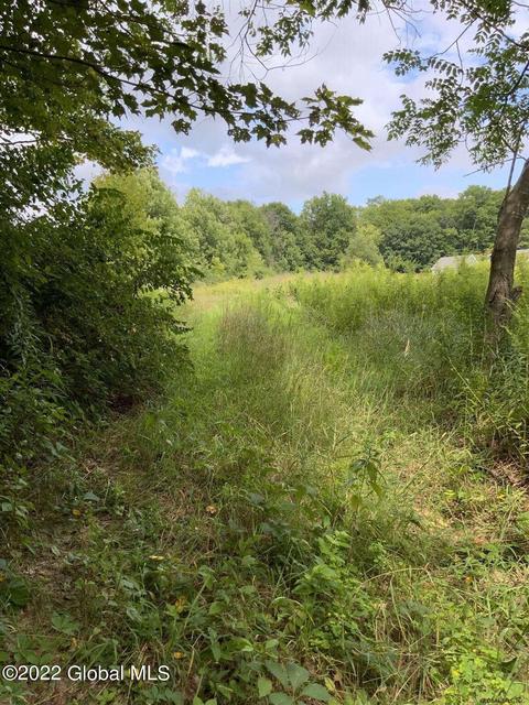 L12.8 Mountain Side Meadow Way, Salem, NY 12865