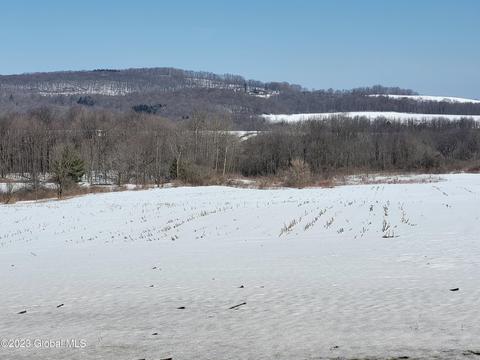 L6 Fords Bush Road, Little Falls, NY 13365