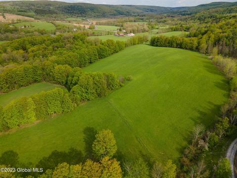 lot Apt 3 Sickle Hill Rd, Berne, NY 12023