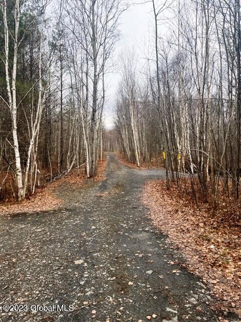 156 Congressman Dr, Summit, NY 12175 photo 17
