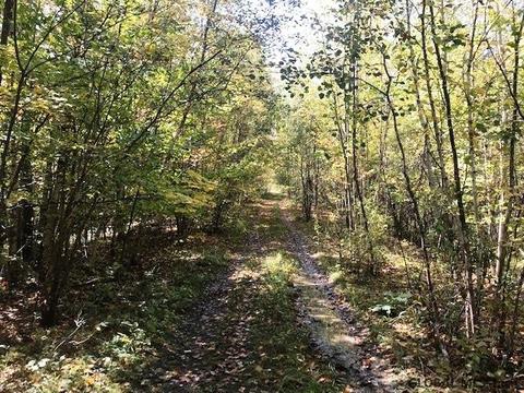 156 Congressman Dr, Summit, NY 12175 photo 10