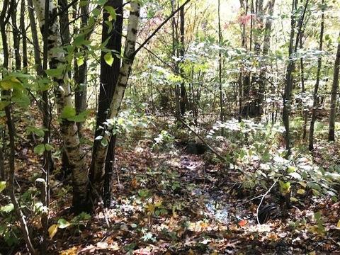 156 Congressman Dr, Summit, NY 12175 photo 8
