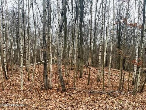 156 Congressman Dr, Summit, NY 12175 photo 22