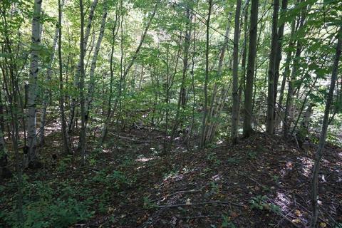 156 Congressman Dr, Summit, NY 12175 photo 16