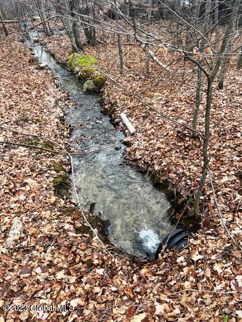 156 Congressman Dr, Summit, NY 12175 photo 23
