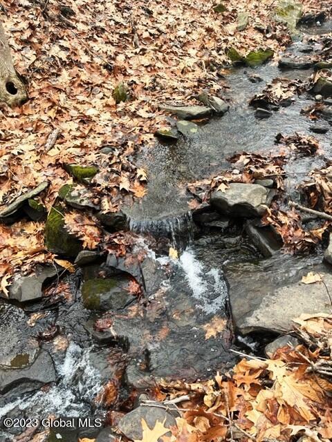 156 Congressman Dr, Summit, NY 12175 photo 20