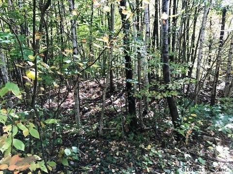 156 Congressman Dr, Summit, NY 12175 photo 9