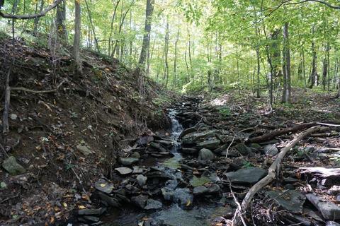 156 Congressman Dr, Summit, NY 12175 photo 4