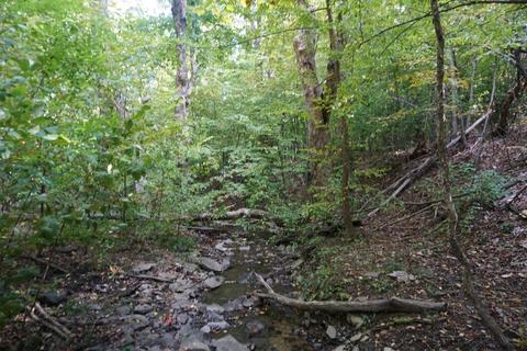 156 Congressman Dr, Summit, NY 12175 photo 5