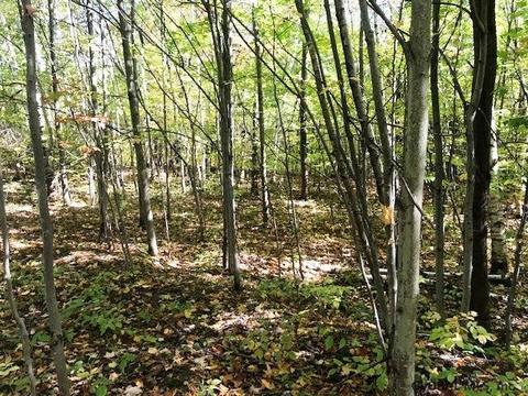 156 Congressman Dr, Summit, NY 12175 photo 1
