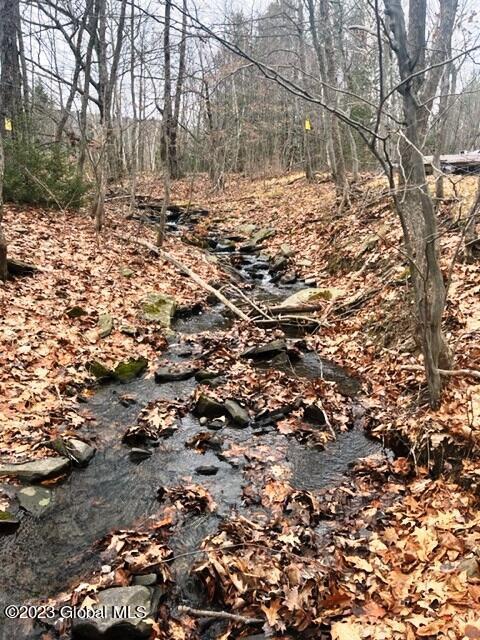 156 Congressman Dr, Summit, NY 12175 photo 25