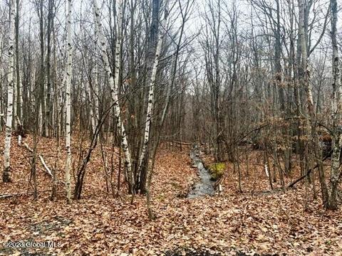 156 Congressman Dr, Summit, NY 12175 photo 21