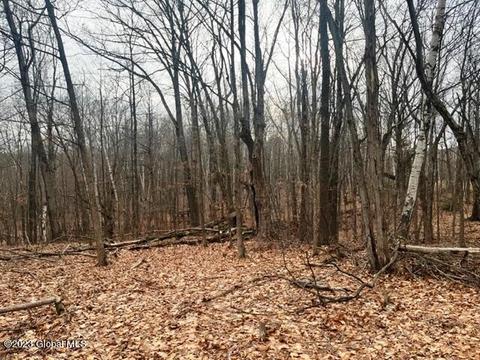 156 Congressman Dr, Summit, NY 12175 photo 24